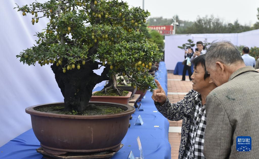 2019白菜彩金优惠网站